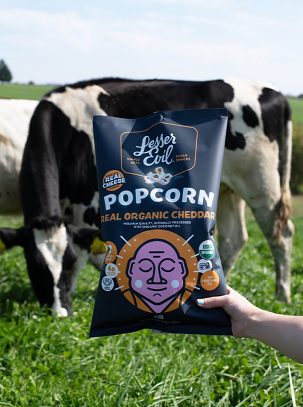 Cheddar Organic Popcorn